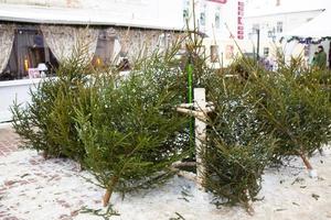 kerstmarkt met levende kerstbomen op straat van de stad. nieuwjaarsstemming, sneeuw, gesneden sparren en coniferen worden verkocht, de geur van hars en dennennaalden. kerstmis, nieuwjaar. foto