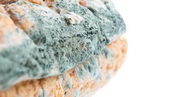 blauwe meeldauw schimmel op wit brood close-up. bedorven voedsel, ongezond voedsel. witte achtergrond foto