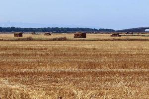 landelijk landschap in Noord-Israël. foto