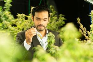 rijke zakenman in cannabiszaken en zijn cannabisboerderij die klaar zijn om te worden geëxtraheerd in verschillende producten op de wereldmarkt foto