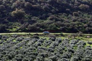 natuurlijk landschap in Noord-Israël. foto