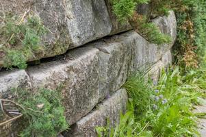 muur gemaakt van stenen. groene planten op steen. foto