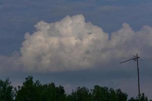 top van berkenbos en blauwe lucht met pluizige wolken foto