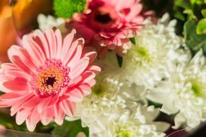 close-up van prachtig bloeiend boeket gerbera's foto