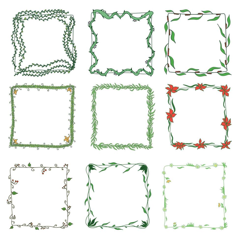 set collectie kleur bloem frame vector