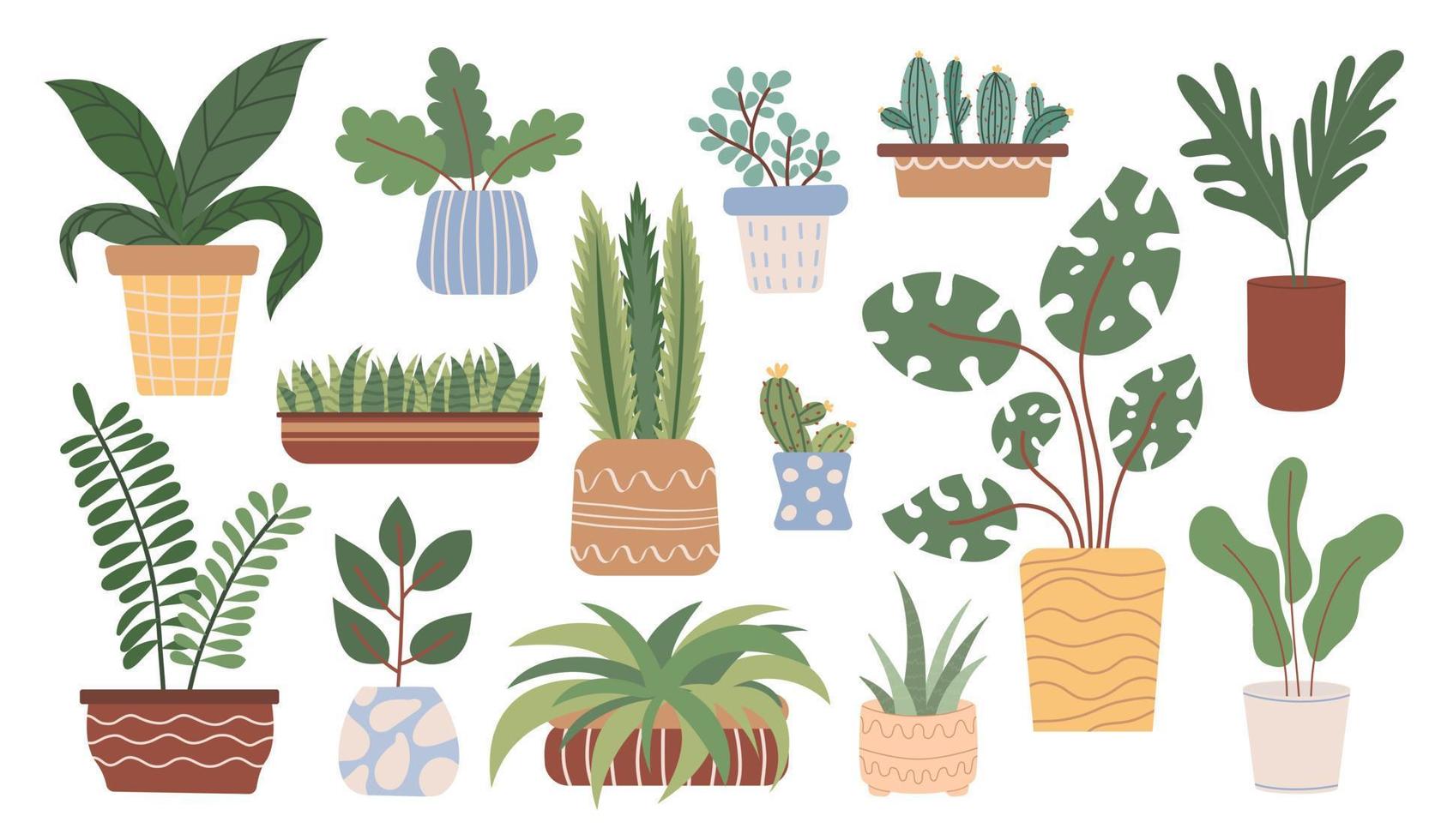 pot huisplant set. verzameling vetplanten, cactussen of groene bladplanten die in plantenbakken of bloempotten groeien. vectorillustratie in vlakke stijl. vector