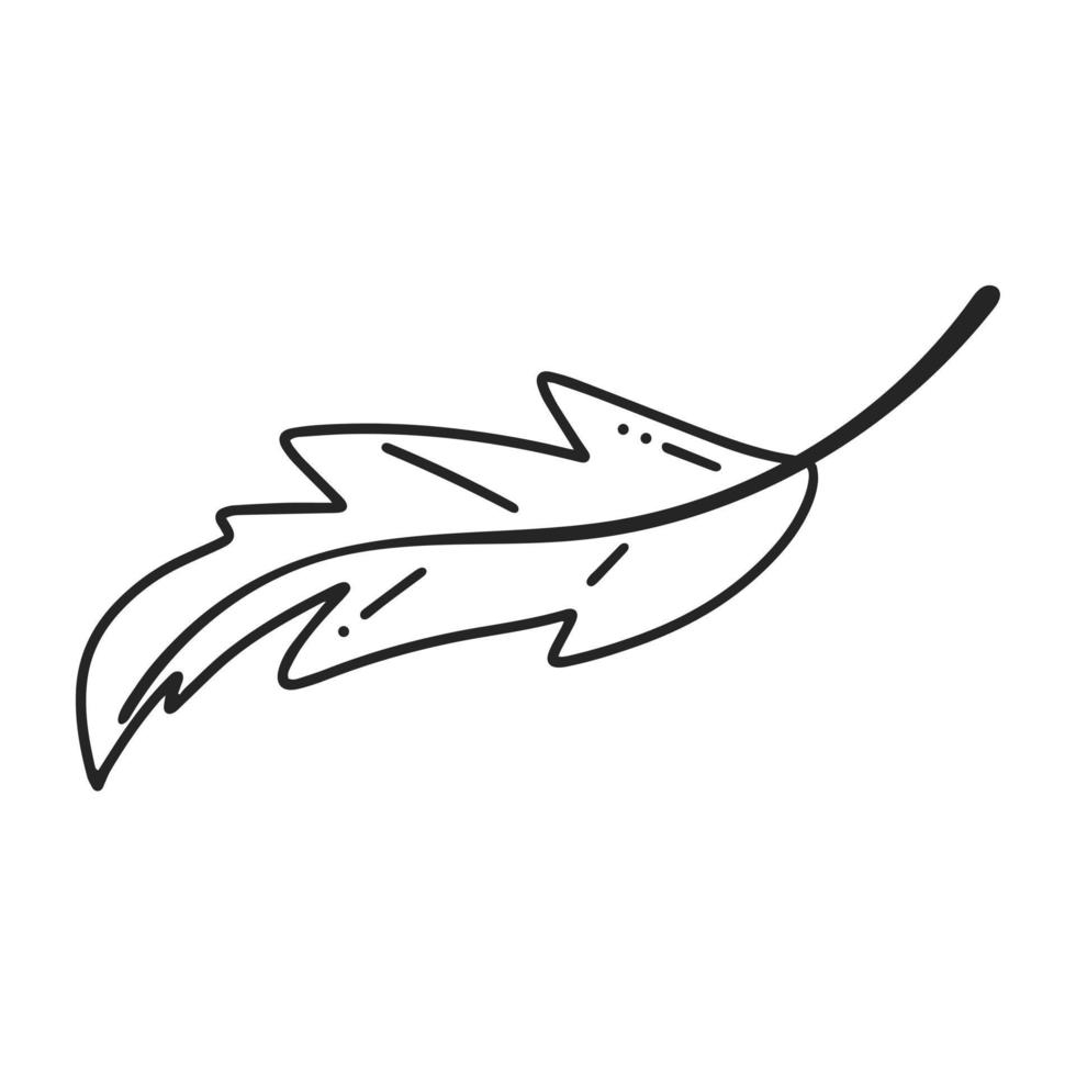 vogel veer zwarte doodle illustratie vector