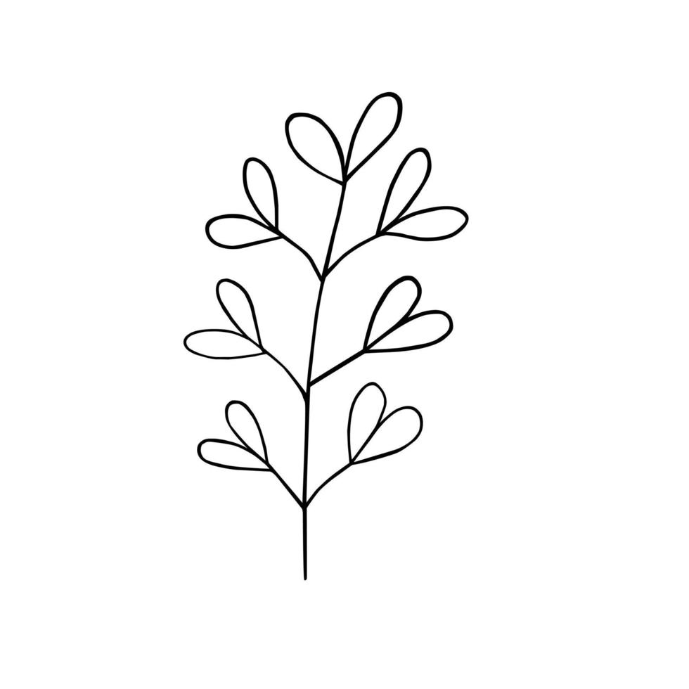 laat eenvoudige omtrek minimalistische concept vectorillustratie, dunne lijn hand getekende bloemen tak, element voor uitnodigingen, wenskaarten, boekje ontwerp vector