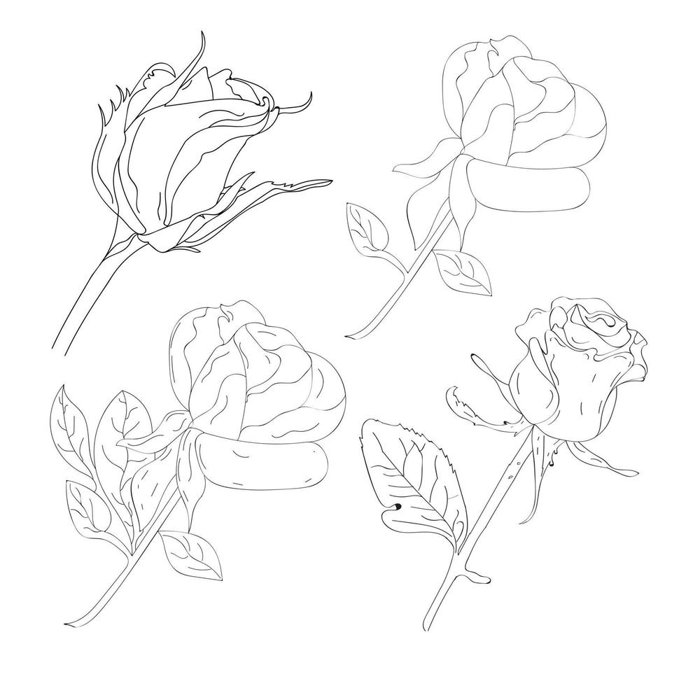 roze bloem overzicht kunst. zwarte kleur handgetekende roze bloem witte achtergrond vector
