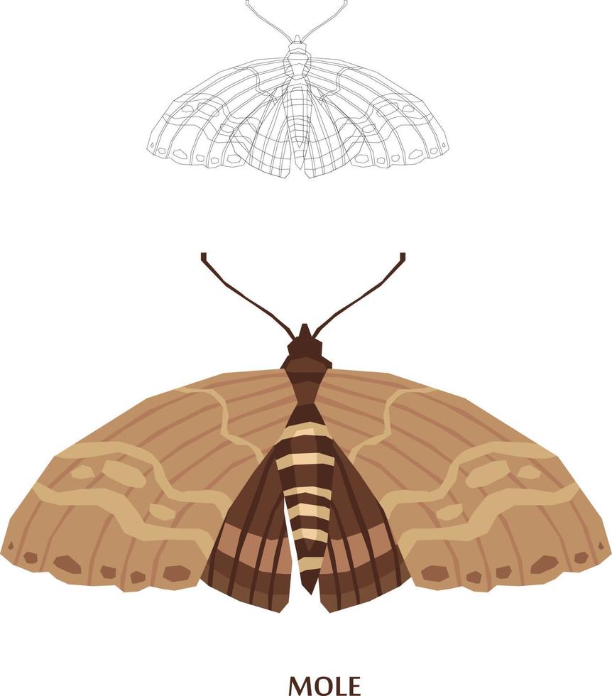 insecten schets naar vectorillustratie vector