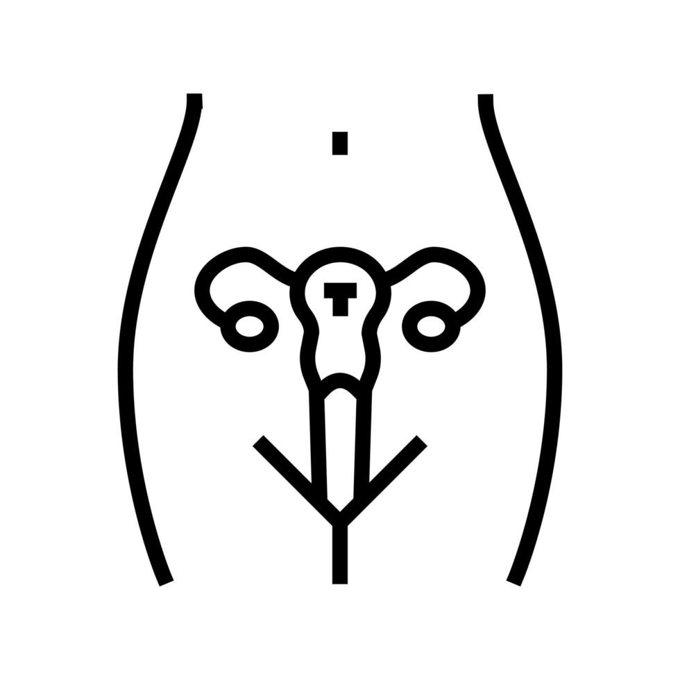 baarmoeder vrouwelijk orgel lijn pictogram vectorillustratie vector