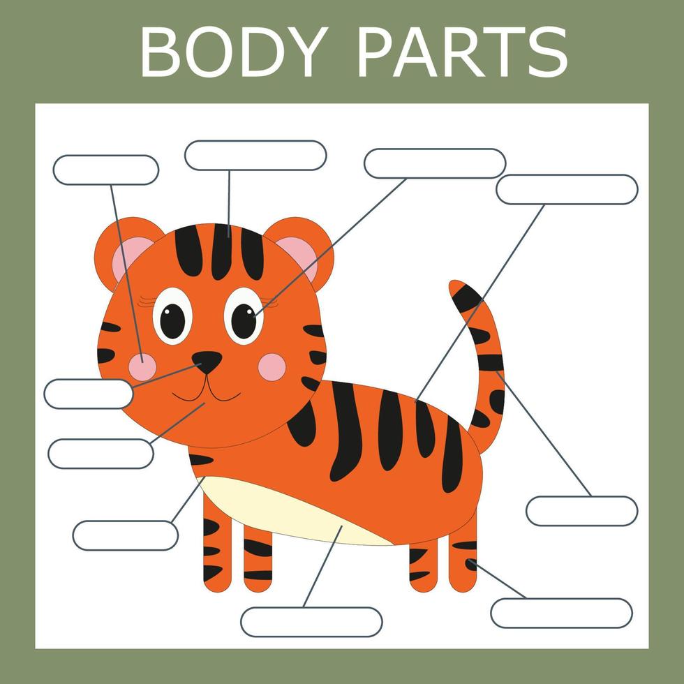 schrijf de lichaamsdelen van de tijger op. educatief spel voor kinderen. vector