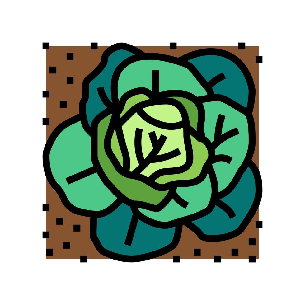 plant kool groeien op landbouwgrond kleur pictogram vectorillustratie vector