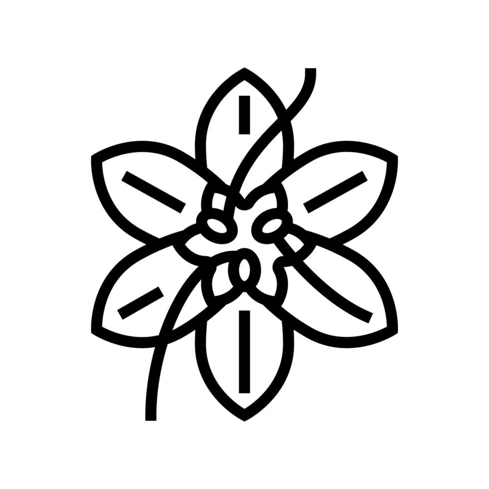saffraan bloemknop lijn pictogram vectorillustratie vector