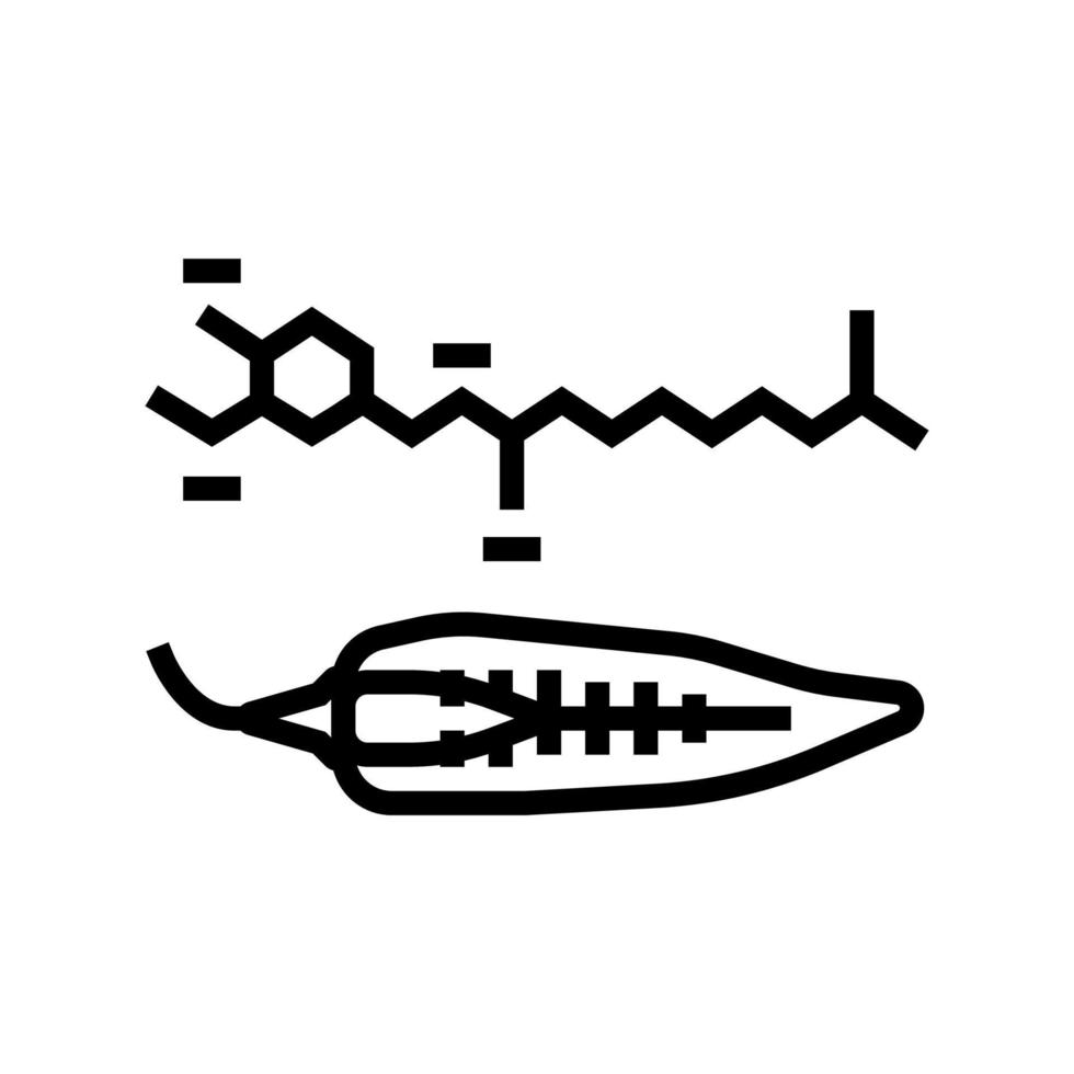 capsaïcine peper lijn pictogram vectorillustratie vector