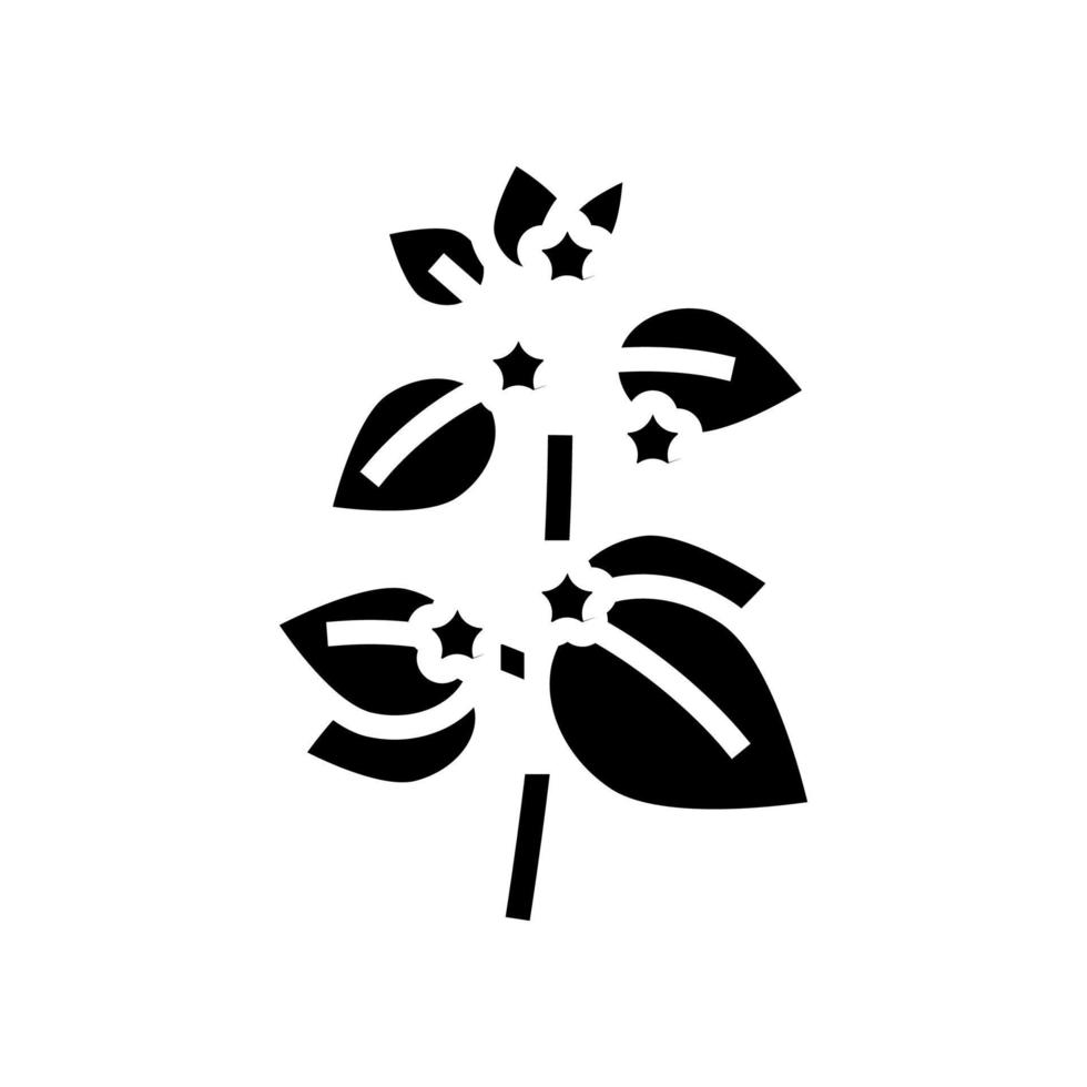 Melissa kruiden aromatherapie glyph pictogram vector geïsoleerde illustratie