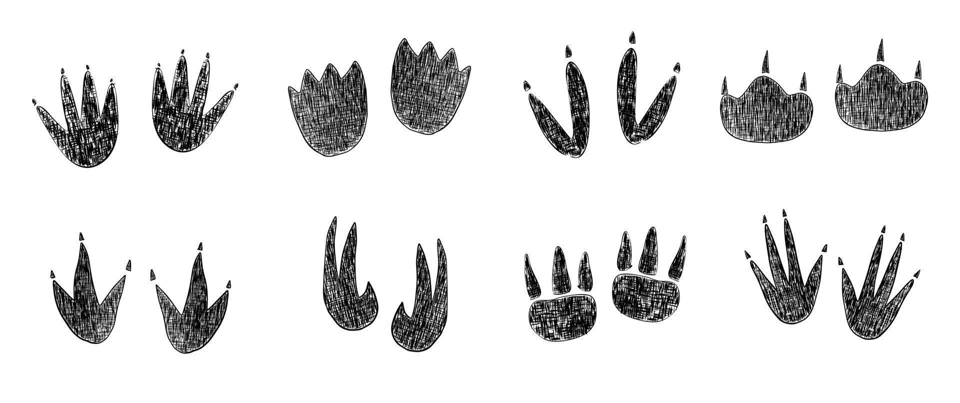dinosaurus voetafdruk schets set vector