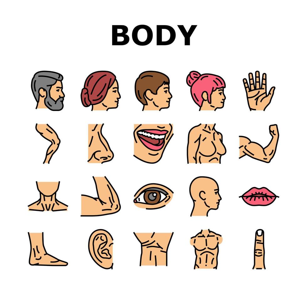 lichaam en gezicht mensen delen pictogrammen instellen vector