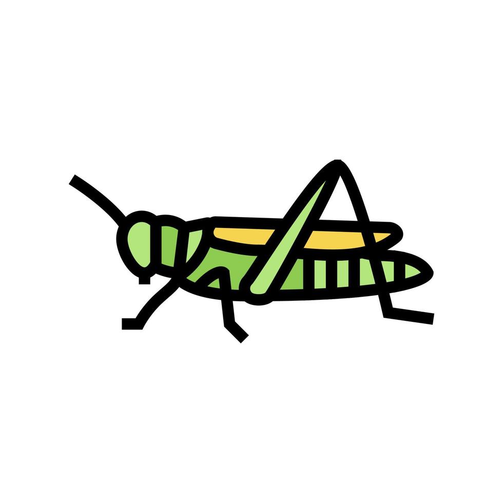 sprinkhaan insect kleur pictogram vectorillustratie vector