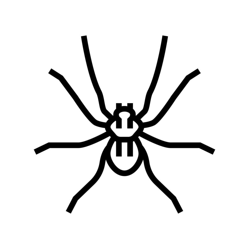 spin insect lijn pictogram vectorillustratie vector