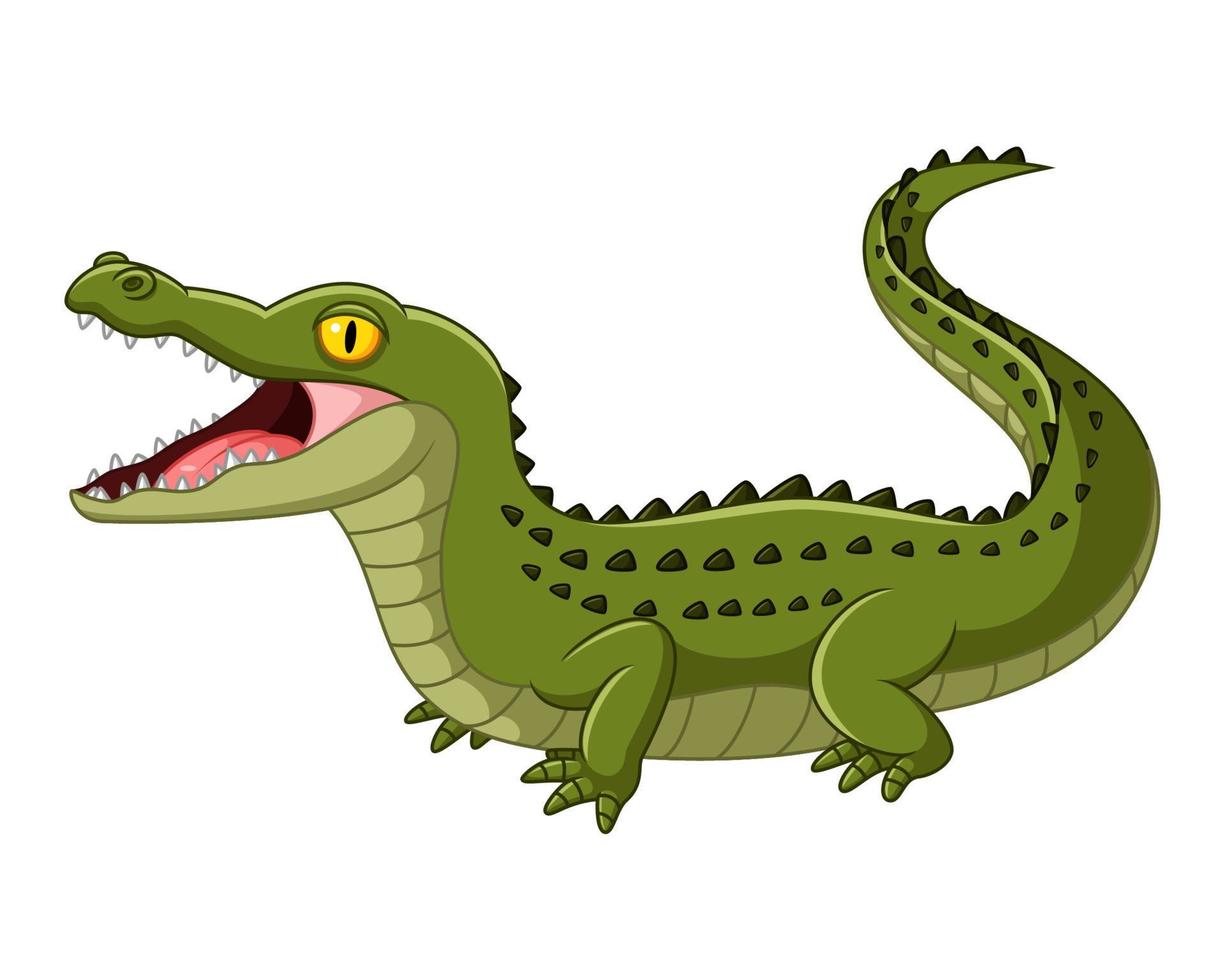 krokodil open mond vector