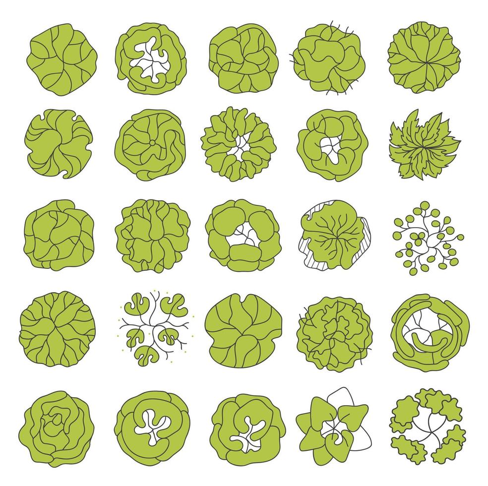 boom voor architecturale plattegronden. entourage ontwerp. verschillende bomen, struiken en struiken, bovenaanzicht voor het landschapsontwerpplan. vector