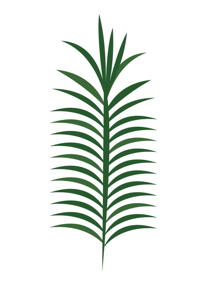 tropische bladpalm vector