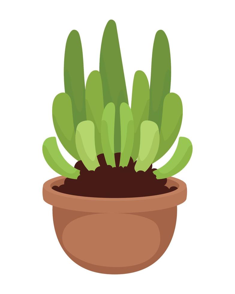 cactusplant in pot vector
