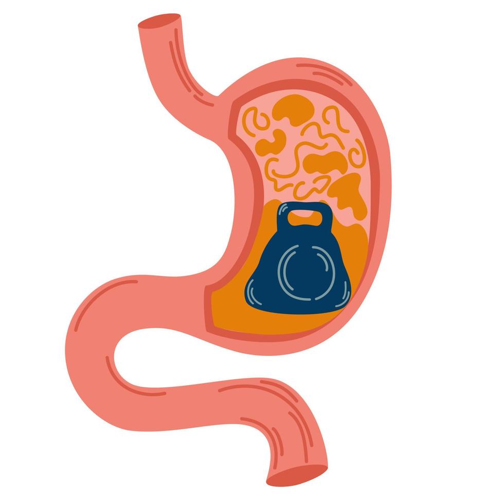 zwaarte in de maag. problemen met gassen, gastritis en zure reflux, indigestie, braken, brandend maagzuur en maagpijn. ongezond maagconcept. ongemak pijn. platte vectorillustratie vector