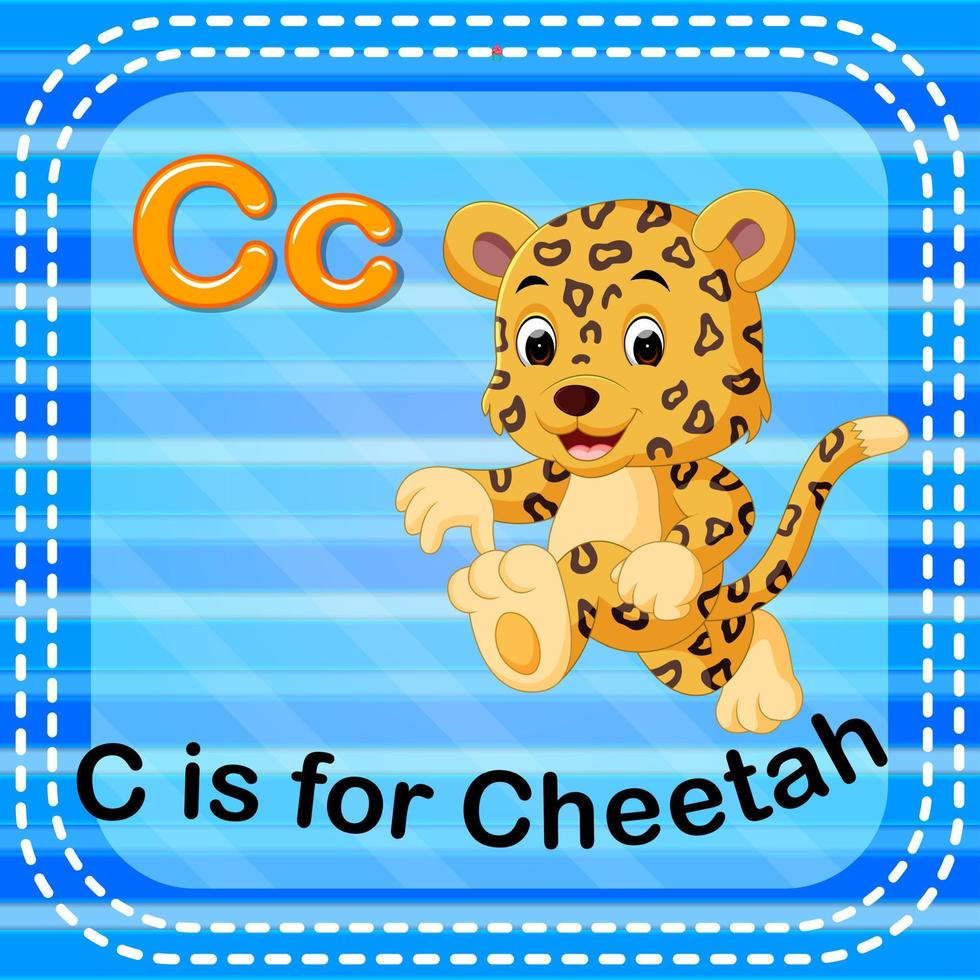 flashcard letter c is voor cheetah vector