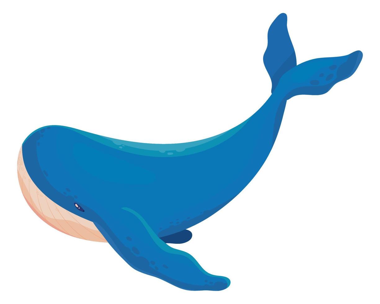 walvis zeeleven vector