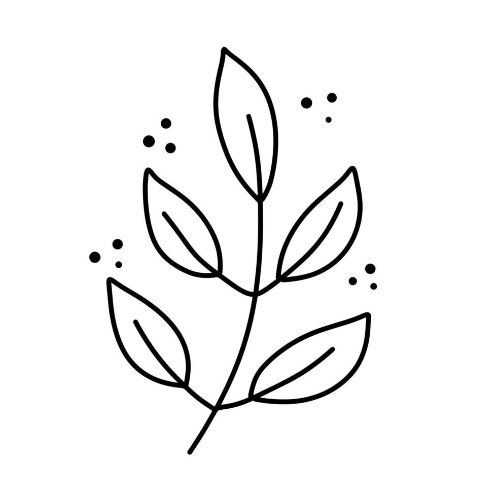 tak van plant. bladeren in lijnstijl. zwart-wit natuurlijke illustratie. schets minimalisme en eenvoudige flora. vector