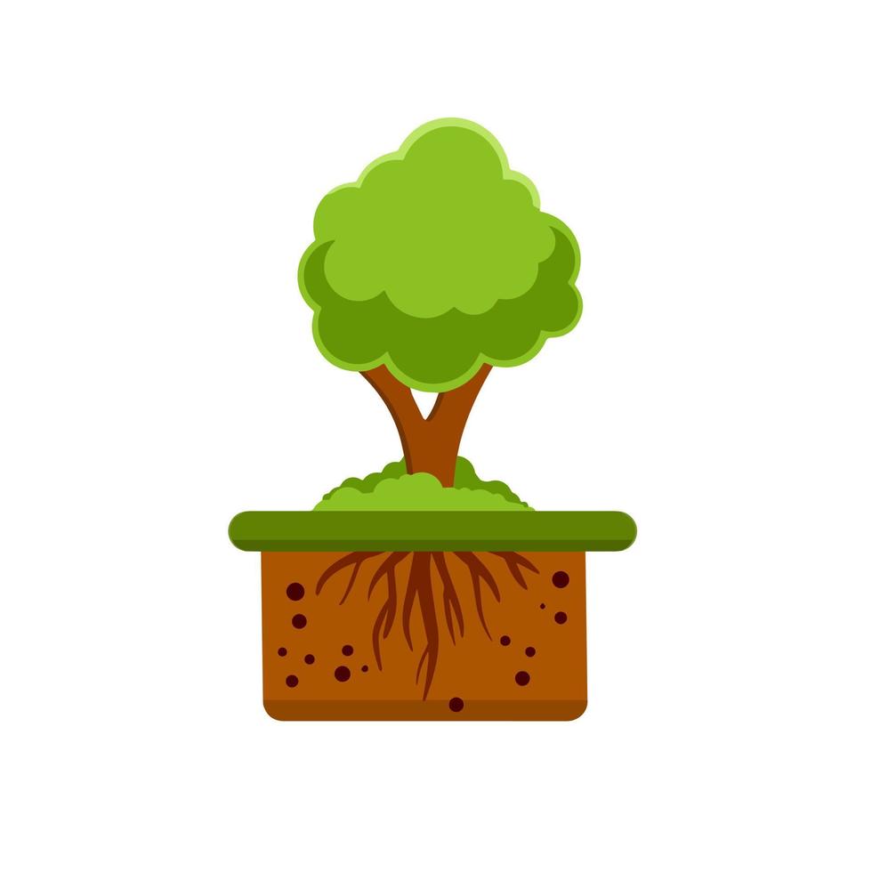wortelstelsel van de boom. natuur en bos. vector