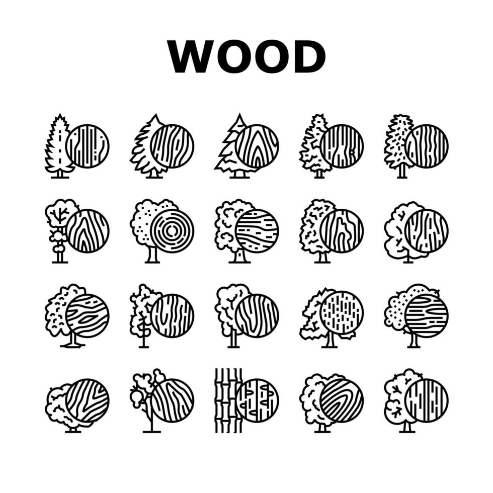 bos land groei natuurlijke boom pictogrammen instellen vector