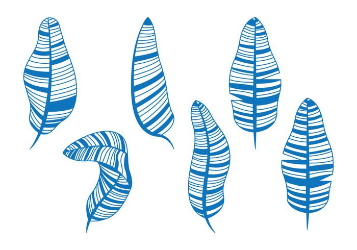 Banaan Blad Illustratie vector