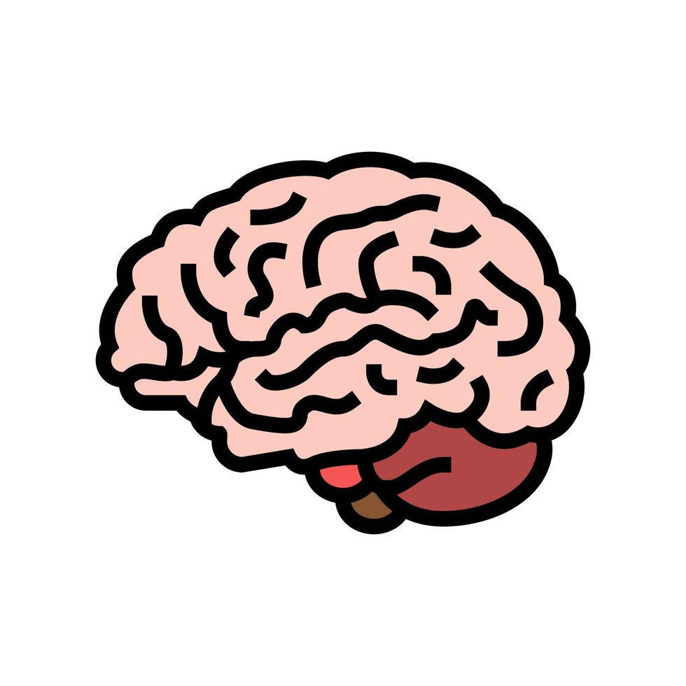 hersenen anatomie orgel kleur pictogram vectorillustratie vector