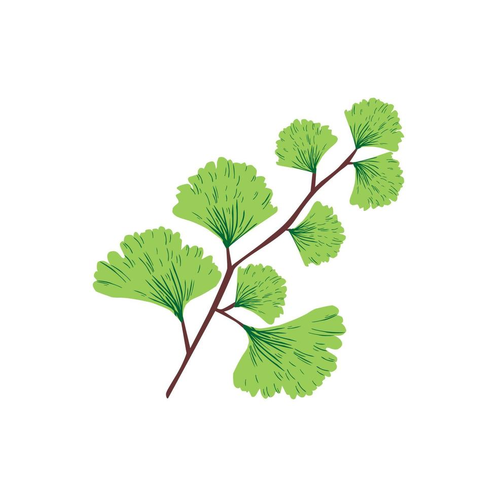 natuur blad plant illustratie vector