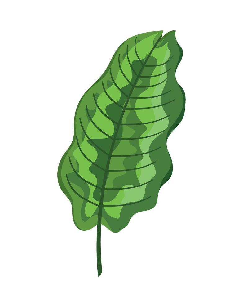 tropisch groen blad vector