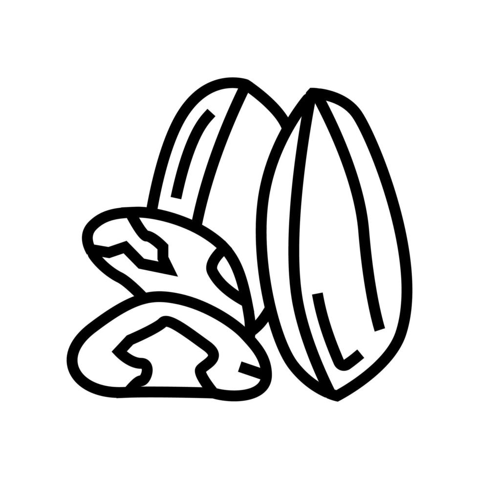 paranoot lijn pictogram vectorillustratie vector