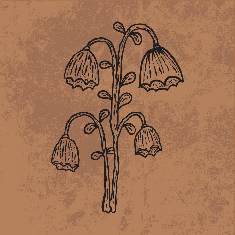 botanische blad doodle wildflower lijntekeningen. hand getekende vectorillustratie. vintage bloemen overzicht. geschikt voor behang, poster, sticker, inhoud sociale media vector