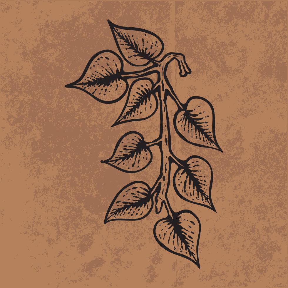 botanische blad doodle wildflower lijntekeningen. hand getekende vectorillustratie. vintage bloemen overzicht. geschikt voor behang, poster, sticker, inhoud sociale media vector