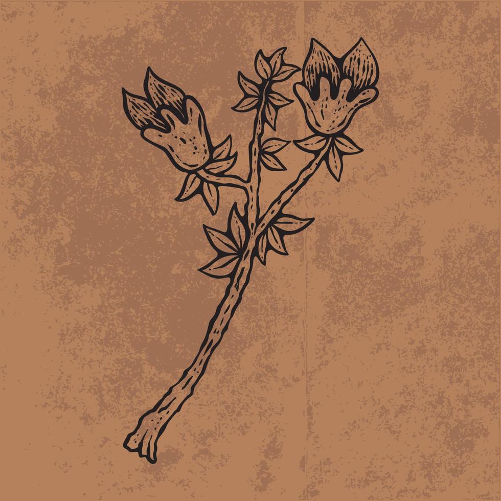 botanische blad doodle wildflower lijntekeningen. hand getekende vectorillustratie. vintage bloemen overzicht. geschikt voor behang, poster, sticker, inhoud sociale media vector