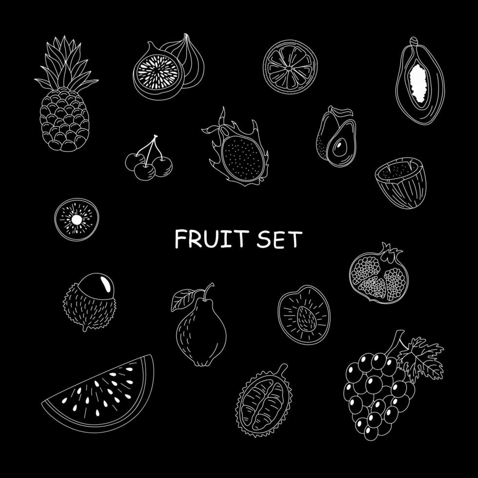 fruit set. hand getekend tropisch fruit op een witte achtergrond. mangosteen, papaja, drakenfruit en andere. vector