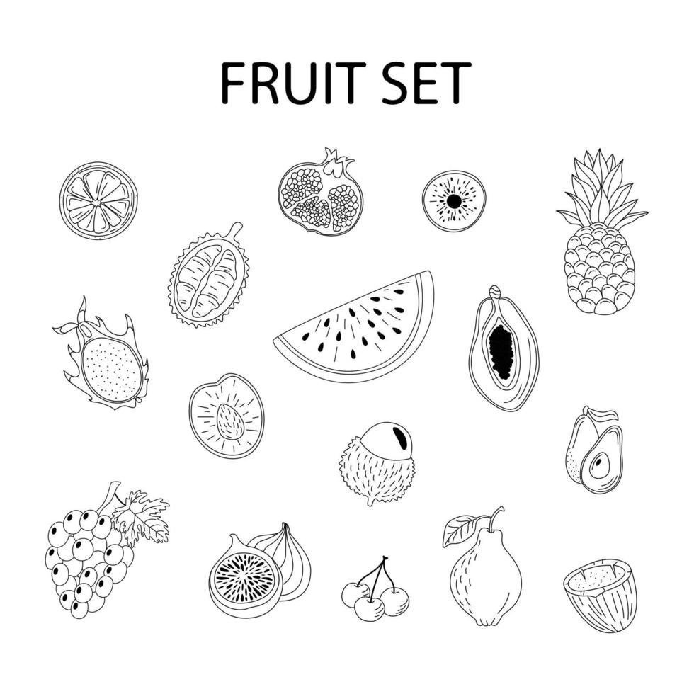 fruit set. hand getekend tropisch fruit op een witte achtergrond. mangosteen, papaja, drakenfruit en andere. vector