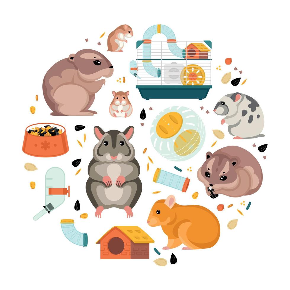 hamster platte ronde compositie vector