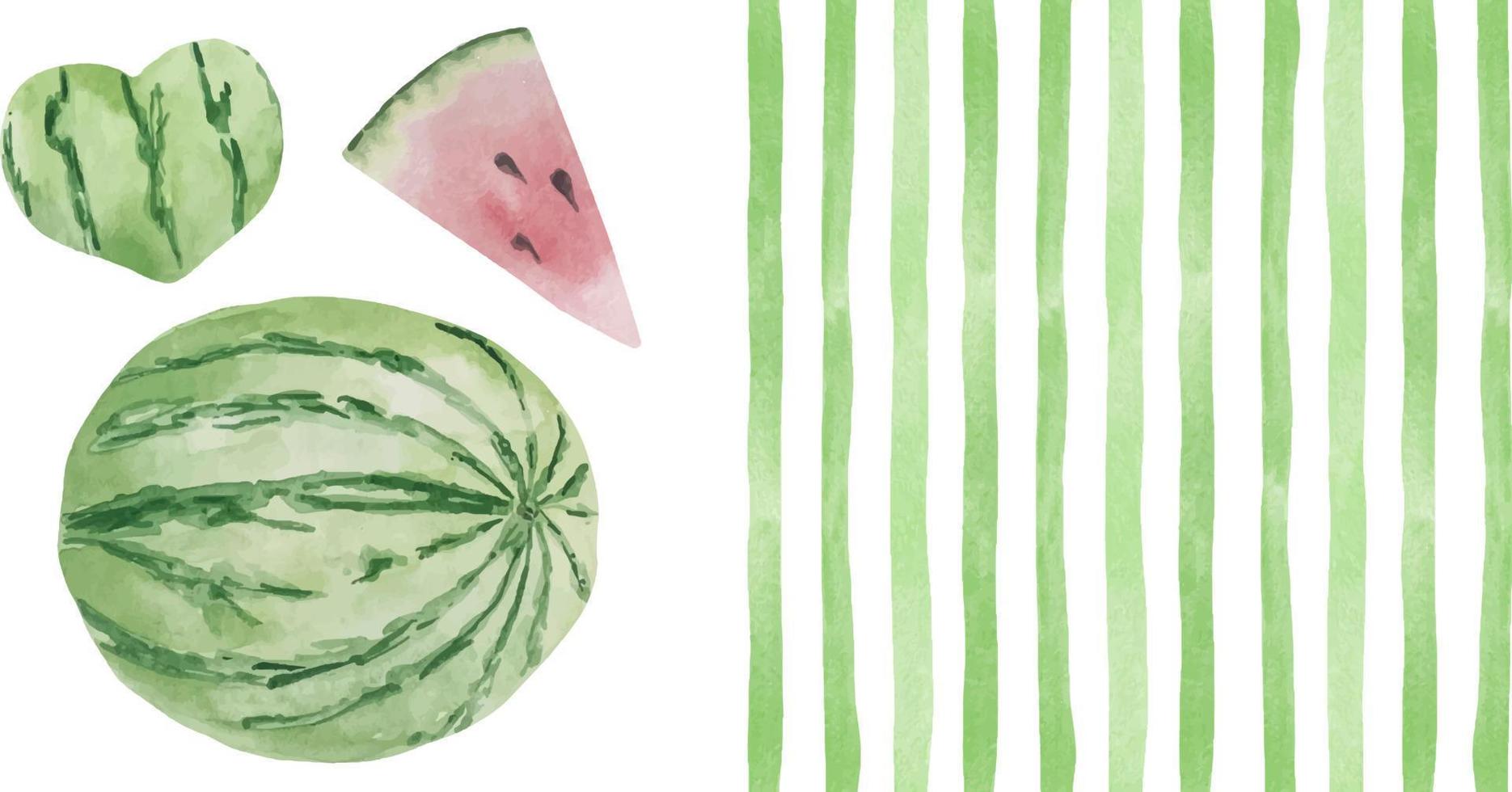 aquarel achtergrond met groene stroken en hele groene ronde watermeloen. zomersjabloonachtergrond met fruit voor ansichtkaarten en kaarten vector