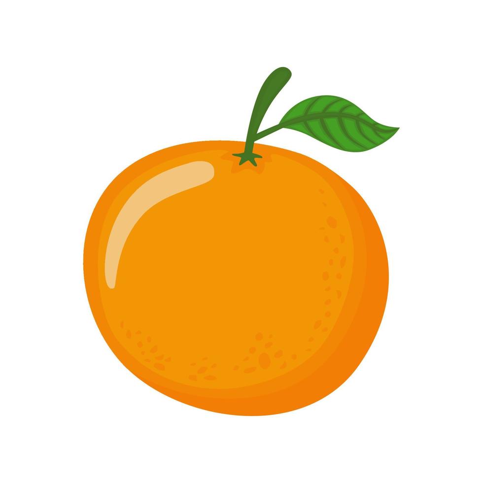 sinaasappelen, vectorillustratie met heldere en frisse kleuren, minimalistisch, geschikt voor het verpakken van sapdranken, restaurants, vegetariërs, landbouw, vitamines, voeding, drukwerk en anderen vector