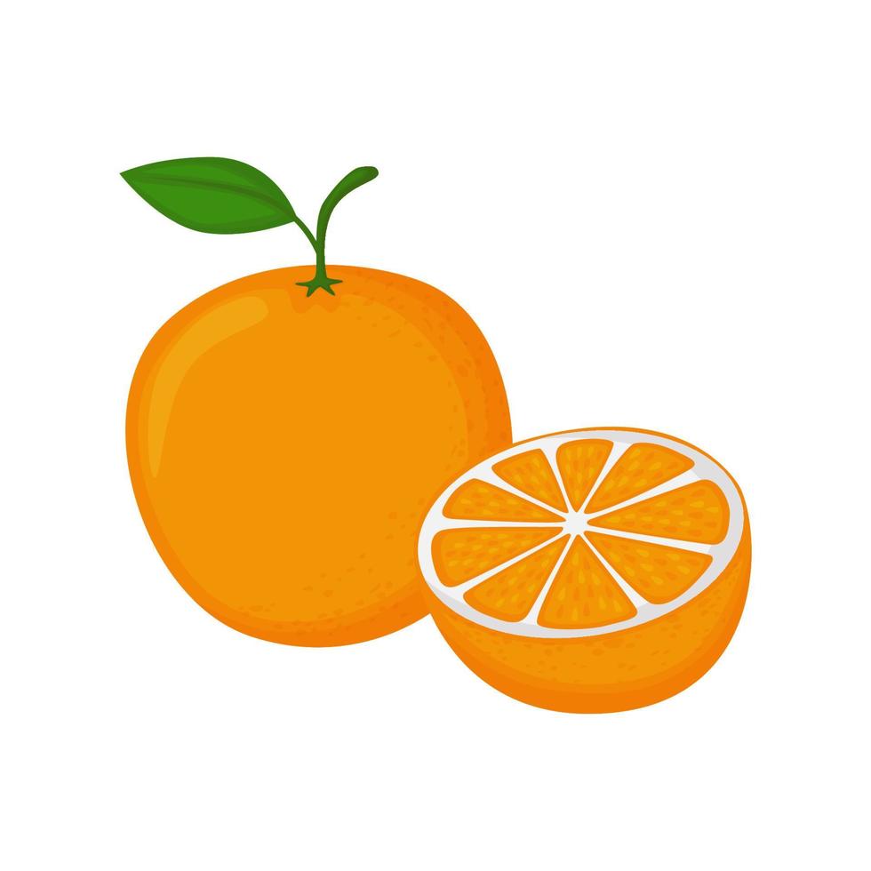 sinaasappelen en sinaasappelschijfjes, vectorillustratie met heldere en frisse kleuren, minimalistisch, geschikt voor het verpakken van sapdranken, restaurants, vegetarisme, landbouw, vitaminen, voeding, drukwerk vector