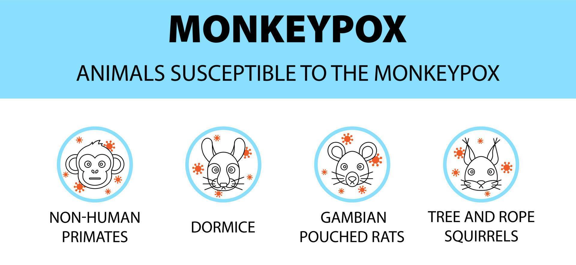 Monkeypox virus dieren vatbare pictogrammen infographic. nieuwe uitbraakgevallen in europa en de vs. vector