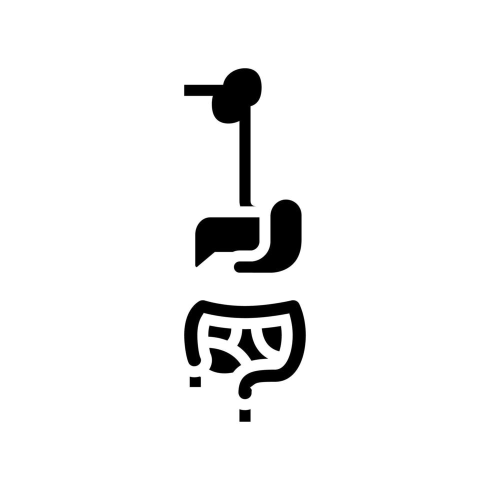 spijsverteringsstelsel glyph pictogram vectorillustratie vector